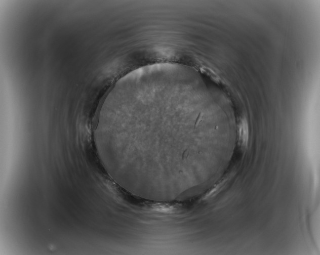 X0000086220613200704121858