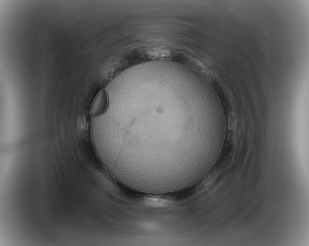 X0000086220614200704121858