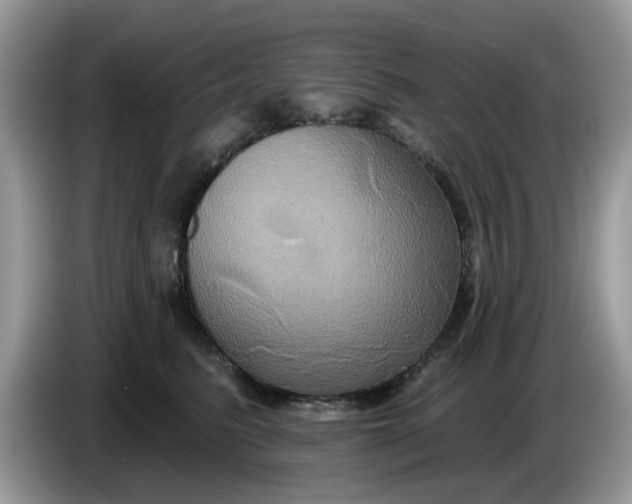 X0000086220615200704121858