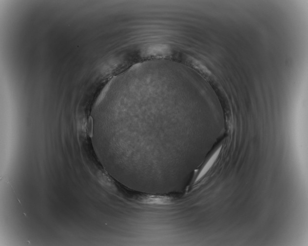 X0000086220617200704121858