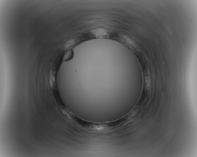 X0000086220618200704121858