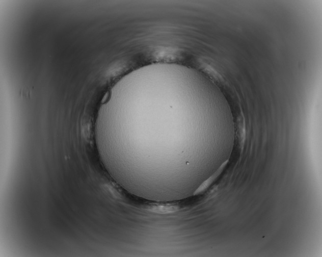 X0000086220619200704121858