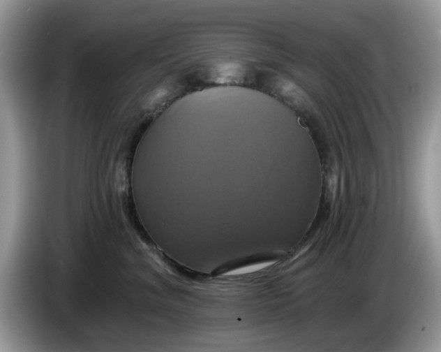 X0000086220620200704121858