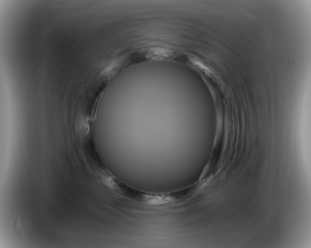 X0000086220621200704121858