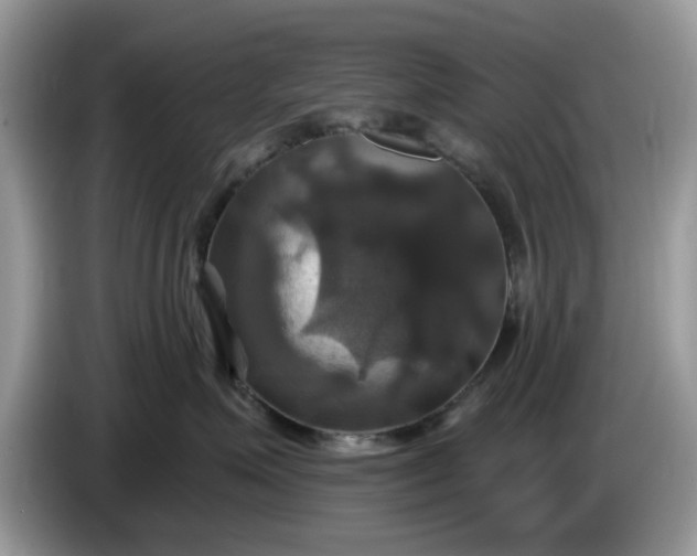 X0000086220623200704121858