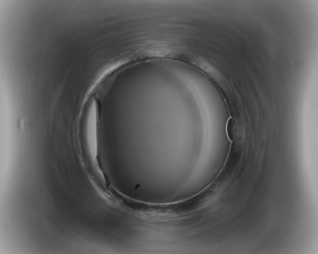 X0000086220626200704121857