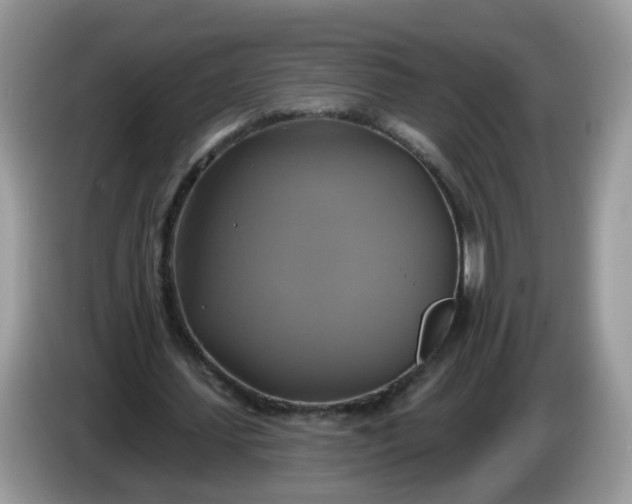 X0000086220627200704121857