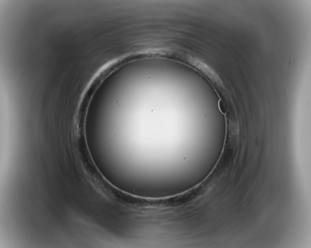 X0000086220628200704121857