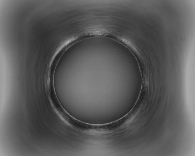 X0000086220630200704121857