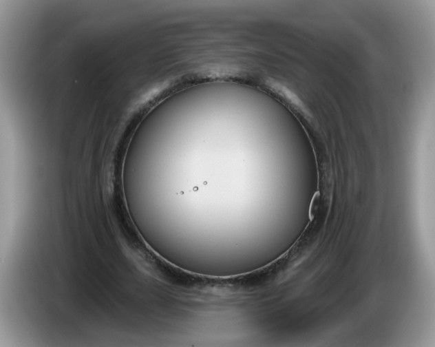 X0000086220631200704121857