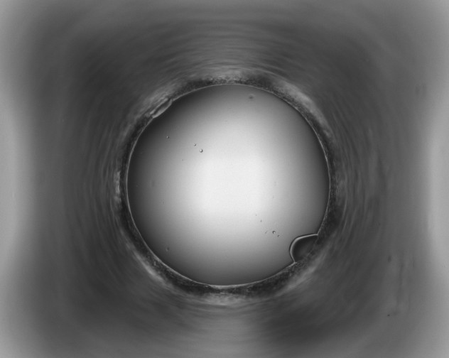 X0000086220633200704121857