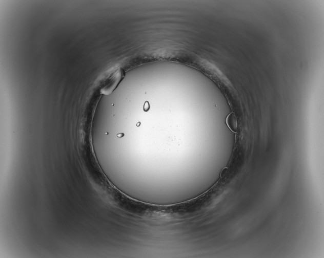 X0000086220635200704121857