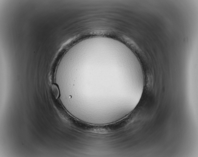 X0000086220636200704121857