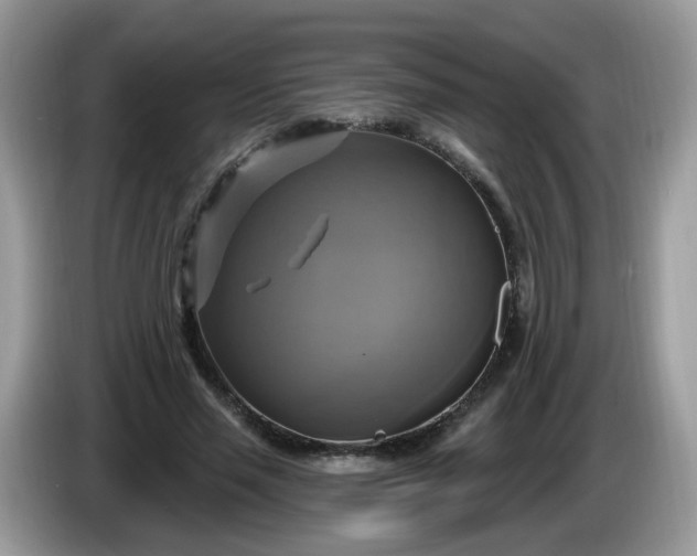 X0000086220637200704121858