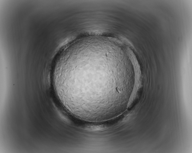 X0000086220638200704121858