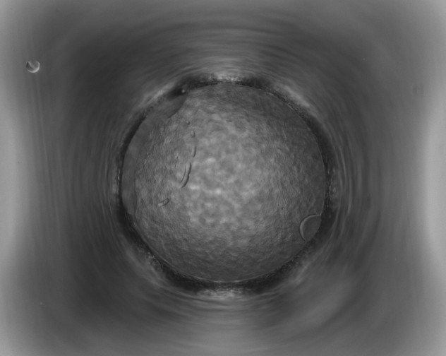 X0000086220639200704121858