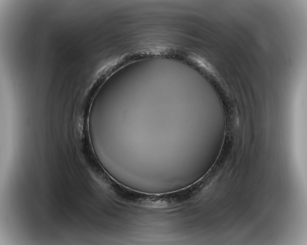 X0000086220640200704121858