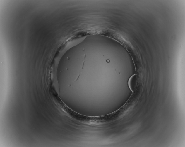 X0000086220641200704121858