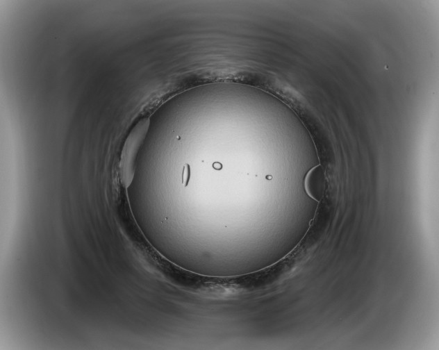 X0000086220642200704121858