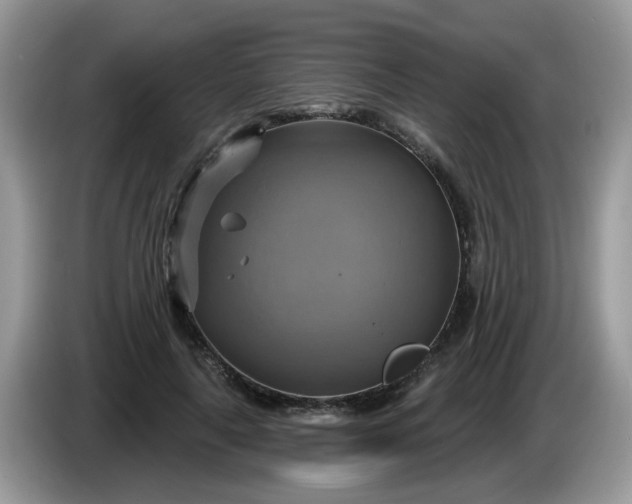 X0000086220643200704121858