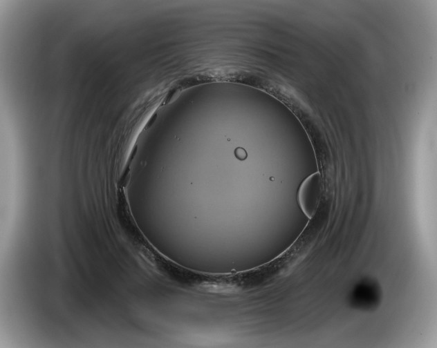 X0000086220644200704121858