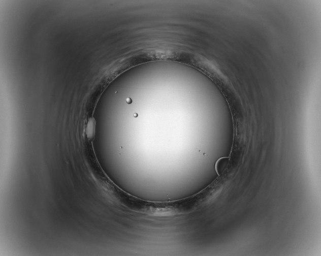 X0000086220645200704121858