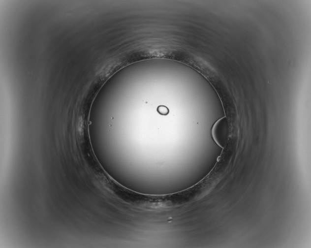 X0000086220646200704121858