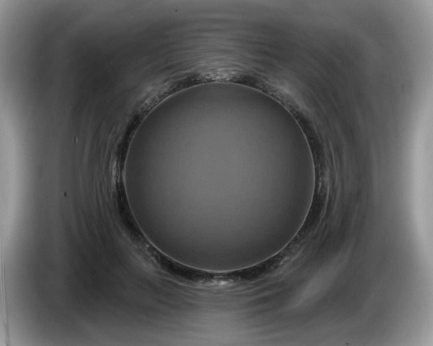 X0000086220647200704121858