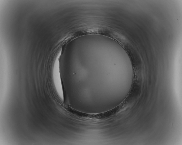 X0000086220648200704121858