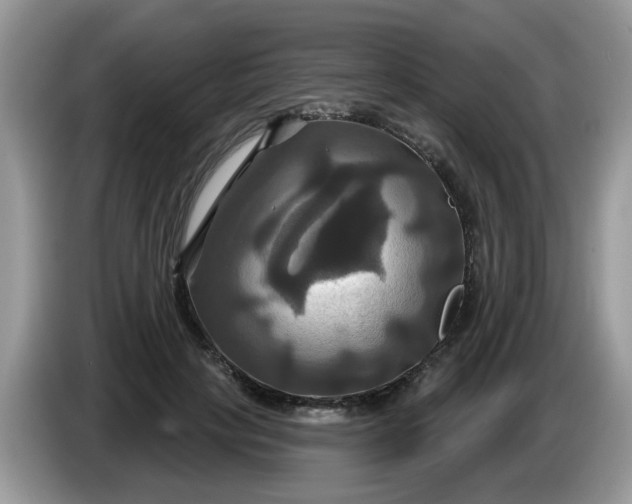 X0000086220649200704121858