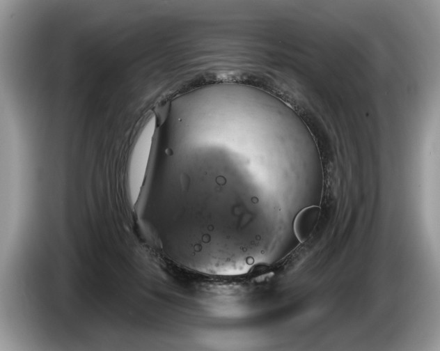 X0000086220650200704121858