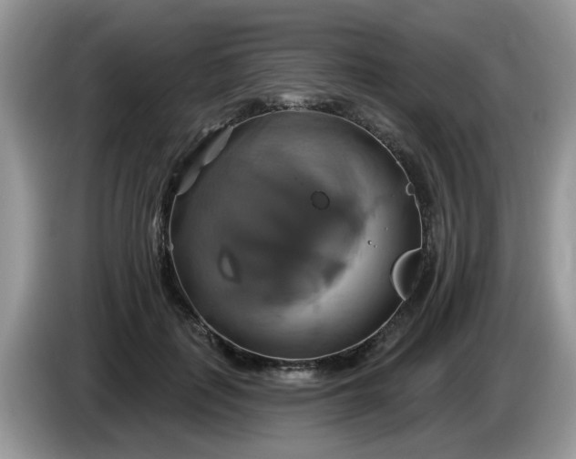 X0000086220651200704121858