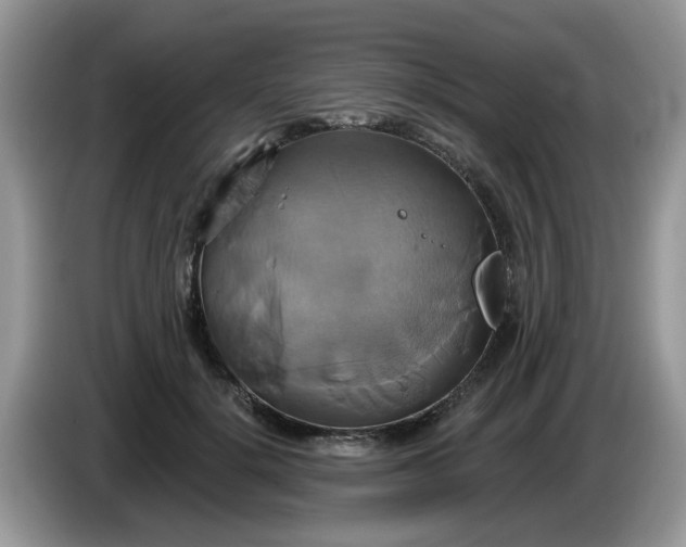 X0000086220652200704121858