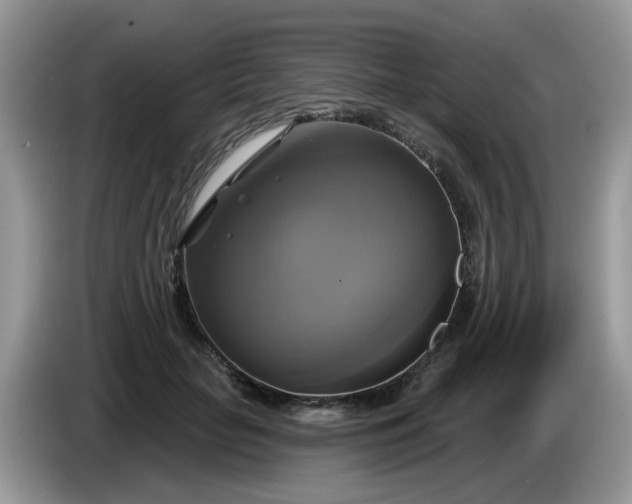 X0000086220653200704121858