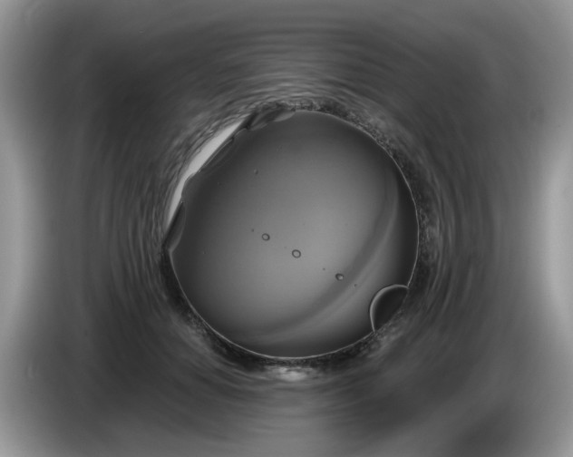 X0000086220654200704121858