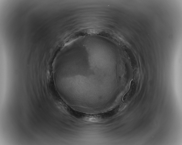 X0000086220655200704121858