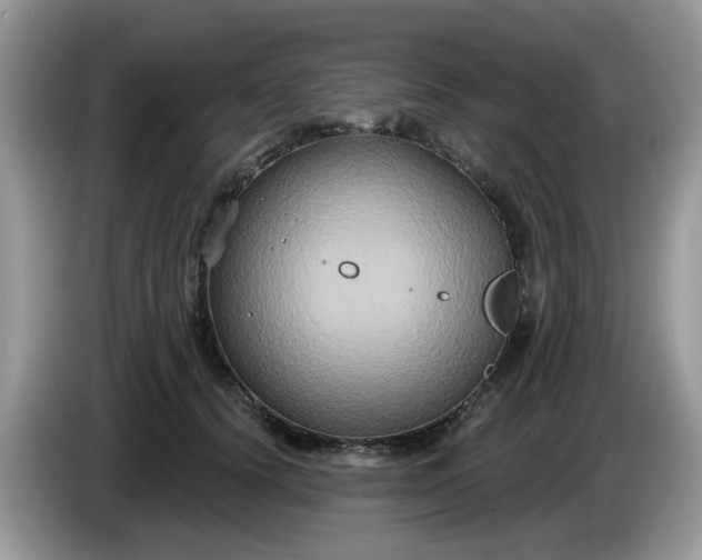 X0000086220656200704121858