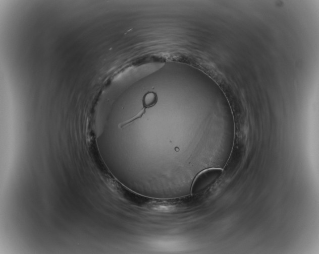 X0000086220658200704121858