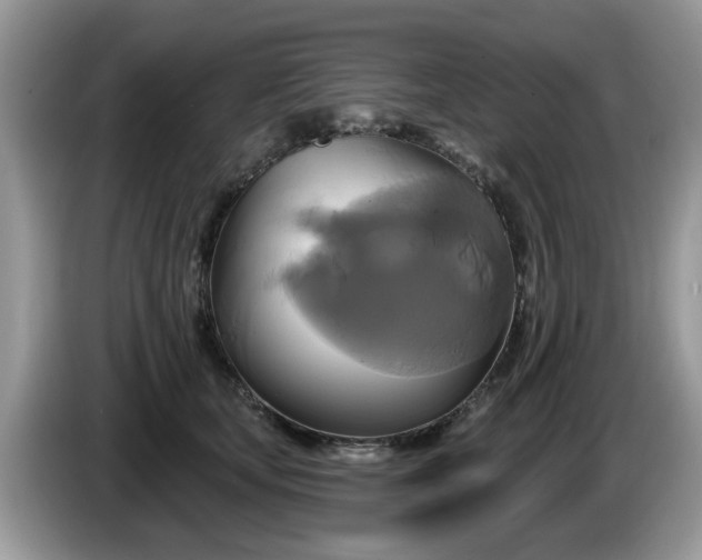 X0000086220659200704121858