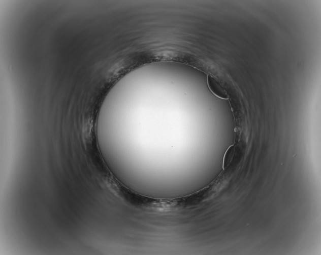 X0000086220660200704121858