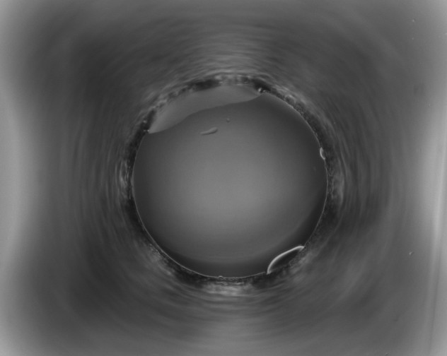 X0000086220661200704121858