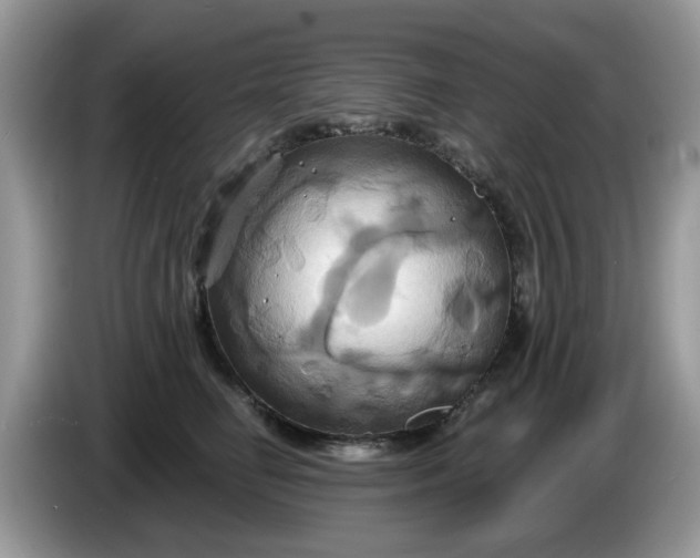 X0000086220662200704121858