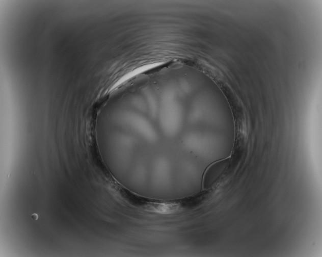 X0000086220663200704121858