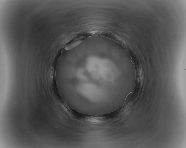 X0000086220664200704121858