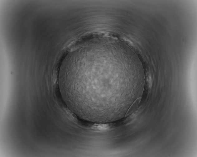 X0000086220665200704121858