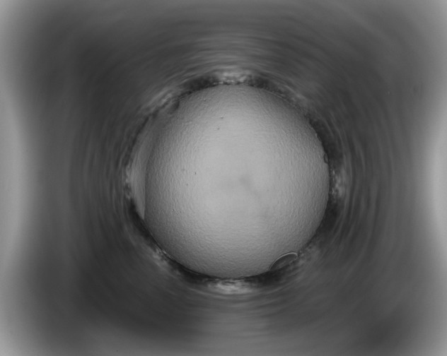 X0000086220666200704121858