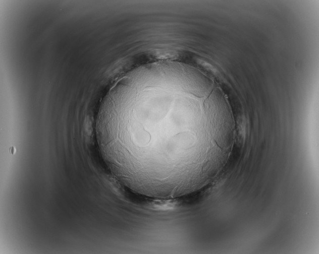 X0000086220667200704121858