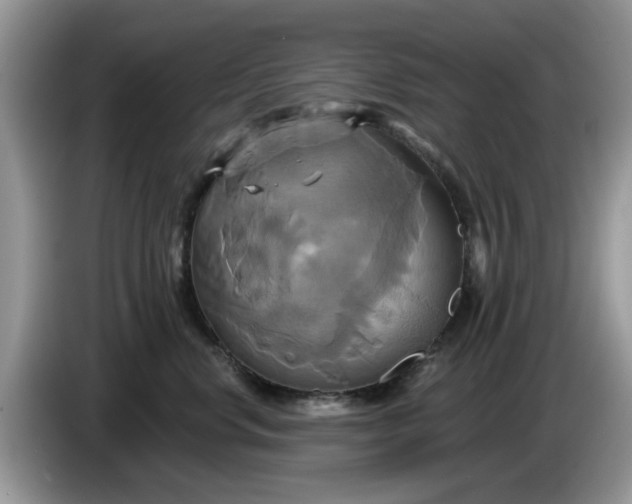 X0000086220668200704121858