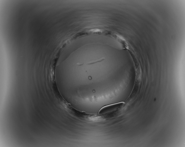 X0000086220669200704121858