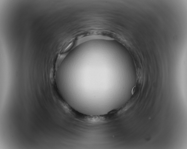 X0000086220670200704121858